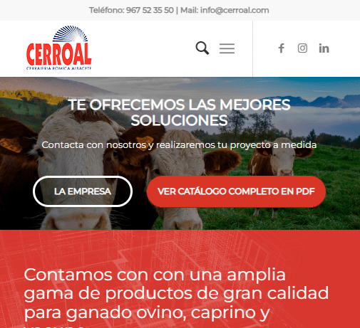 The Best Design es una agencia de diseño web, marketing digital y diseño gráfico en Albacete
